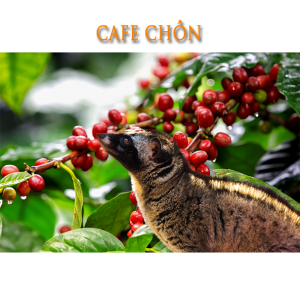 CAFE-chon