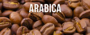 arabica-duong-cafe