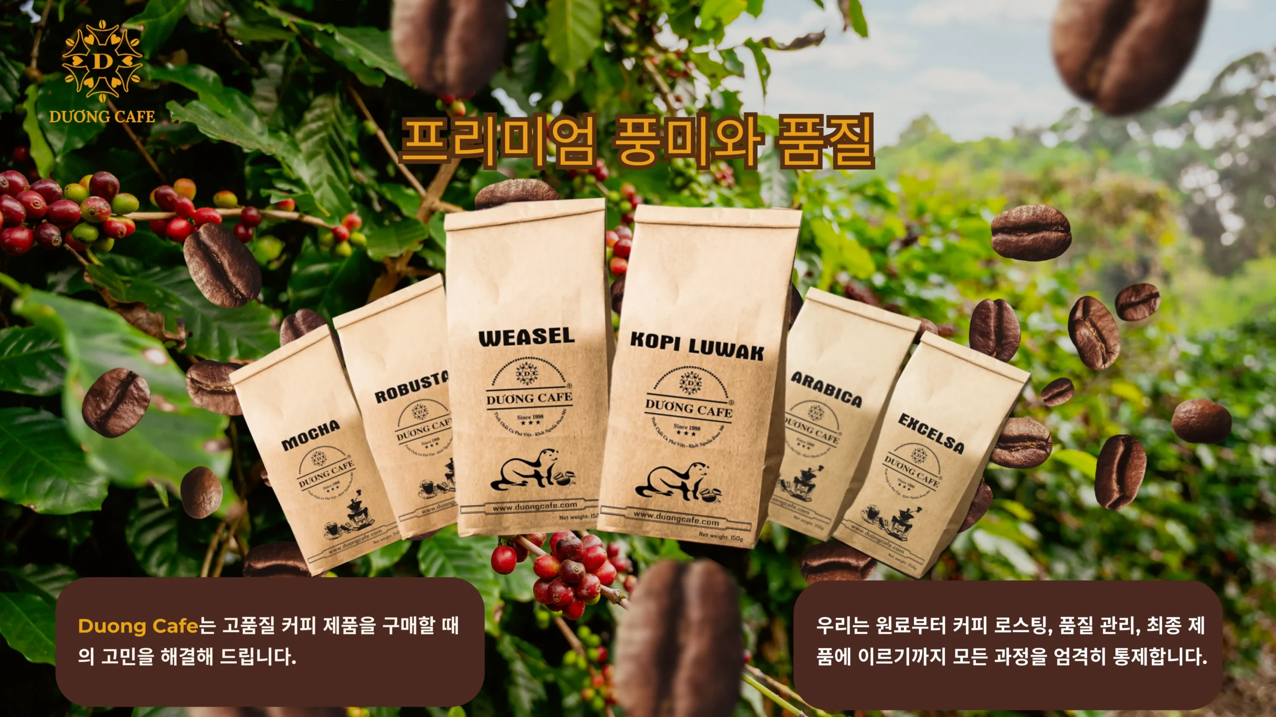 커피 이미지 2