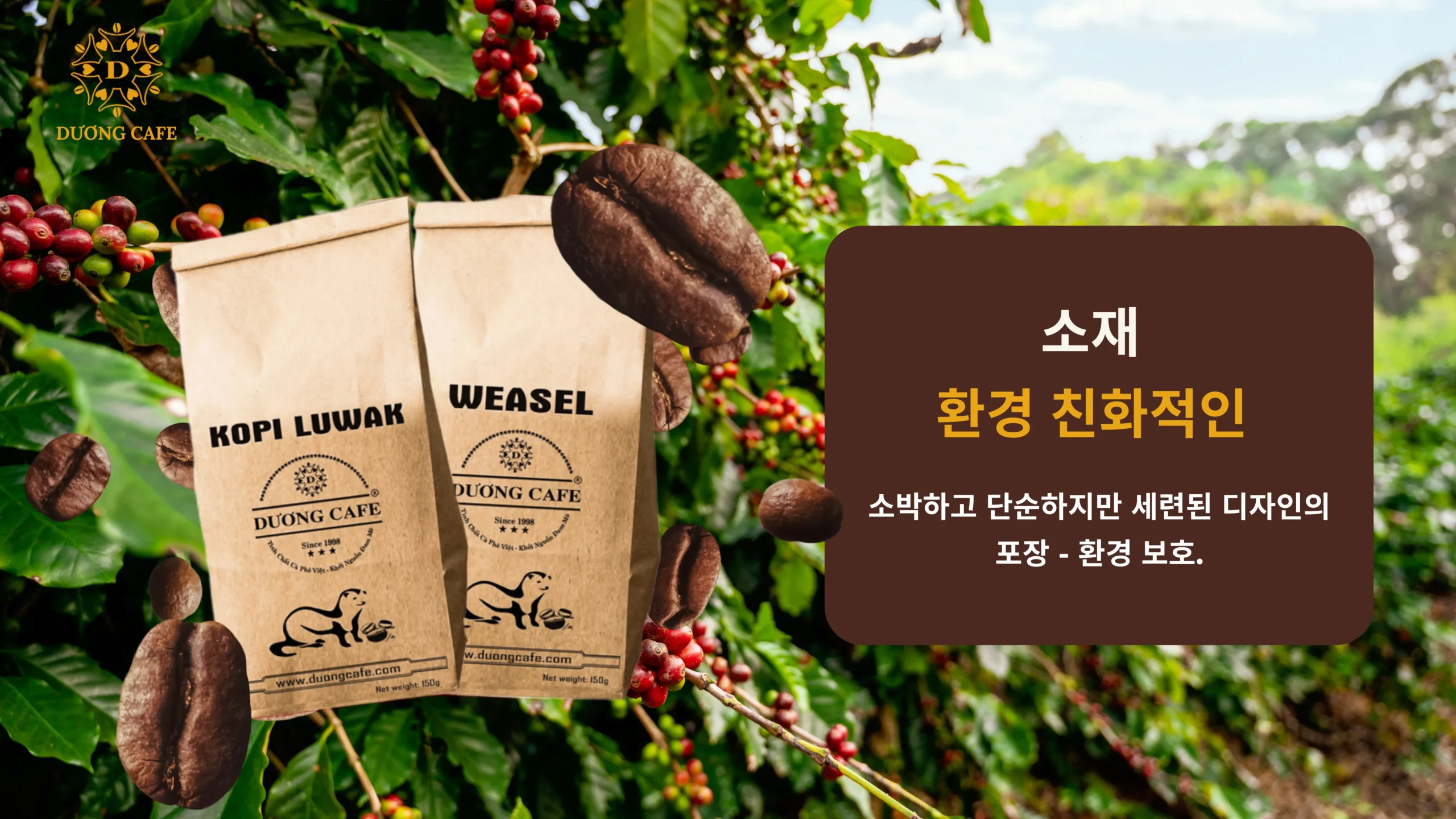 커피 이미지 3